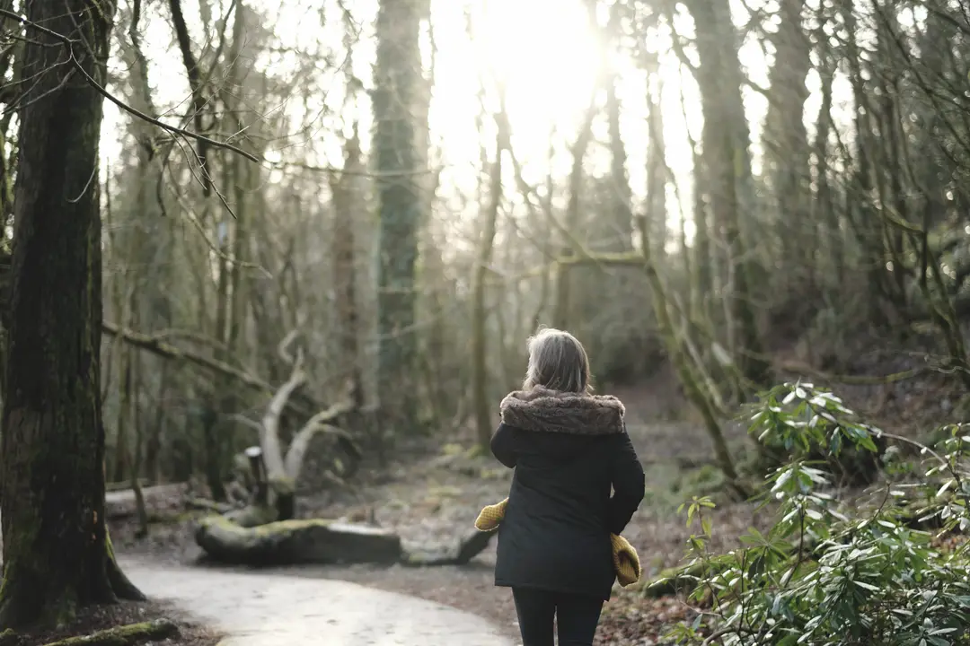 A path through Renfrewshire woodland in winter light